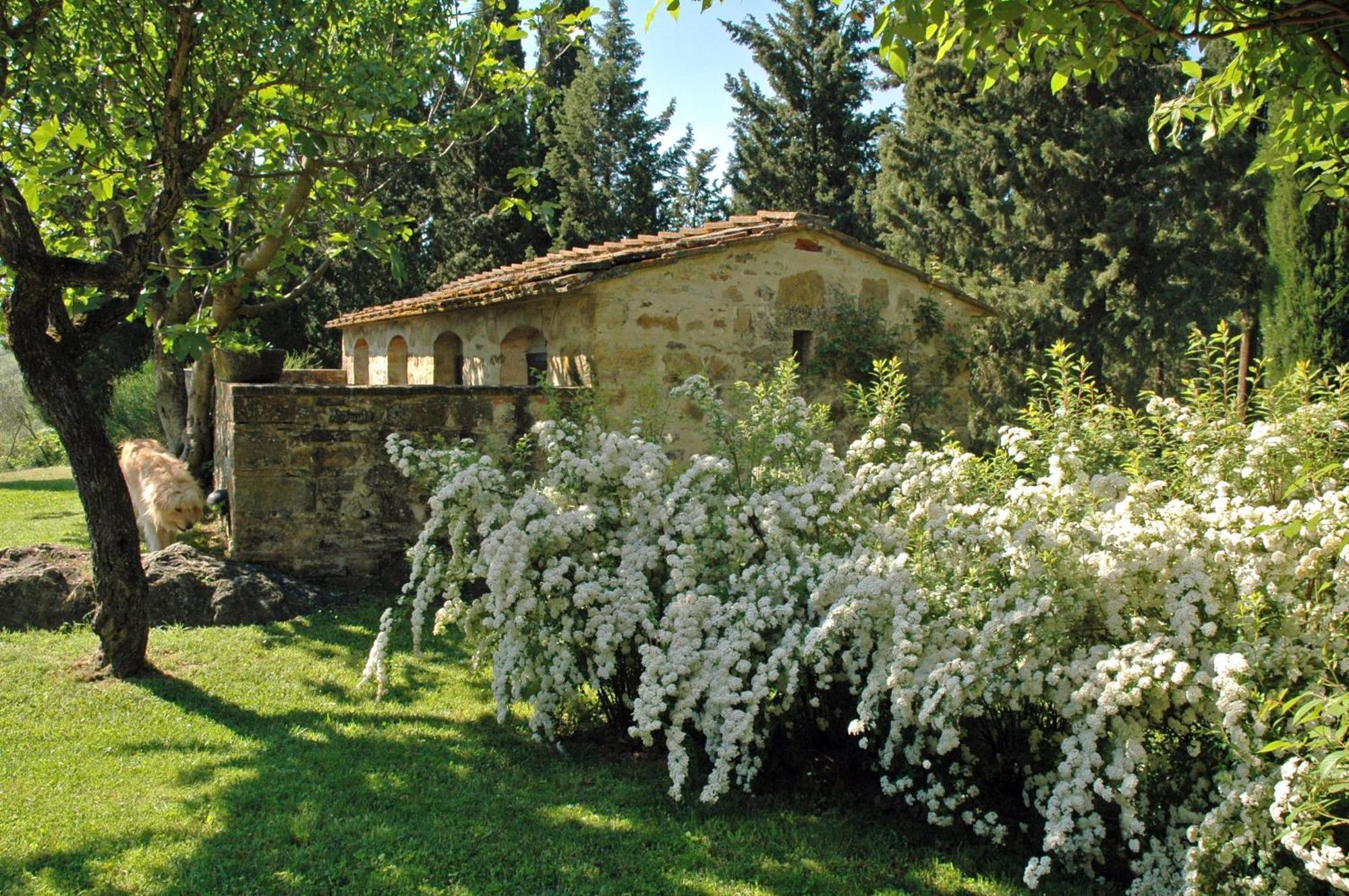 Гостьовий будинок Fattoria Casa Sola Barberino Val d'Elsa Номер фото